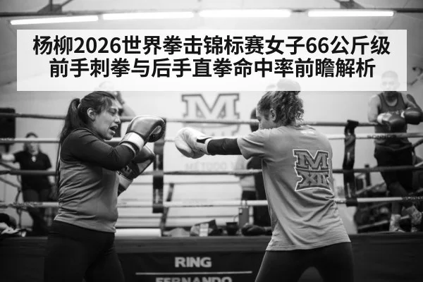 杨柳2026世界拳击锦标赛女子66公斤级前手刺拳与后手直拳命中率前瞻解析