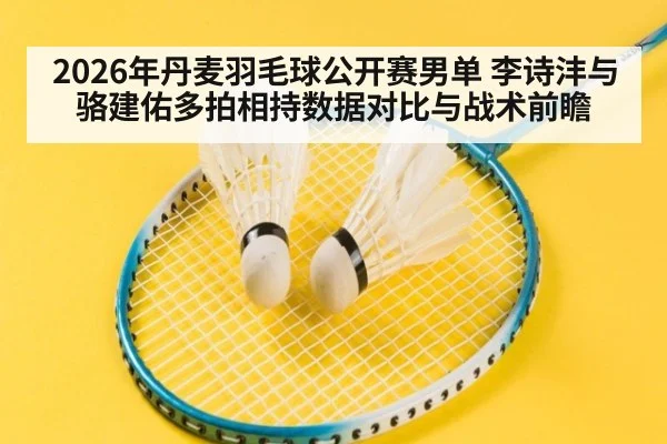 2026年丹麦羽毛球公开赛男单 李诗沣与骆建佑多拍相持数据对比与战术前瞻
