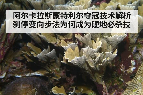 阿尔卡拉斯蒙特利尔夺冠技术解析 刹停变向步法为何成为硬地必杀技